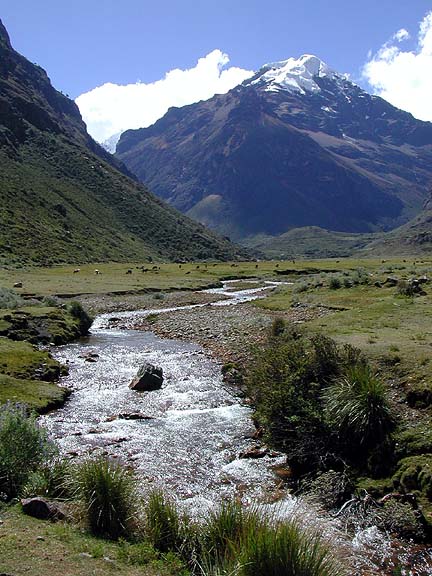 Chopiraju and Quebrada Quilcayhuanca